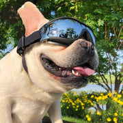 Colorful Pet Sunglasses – Dog & Cat Glasses for Stylish Outdoor Fun
