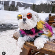 Cat Glasses Pet Dog Pearl Sunglasses – Stylish Accessory for Pets